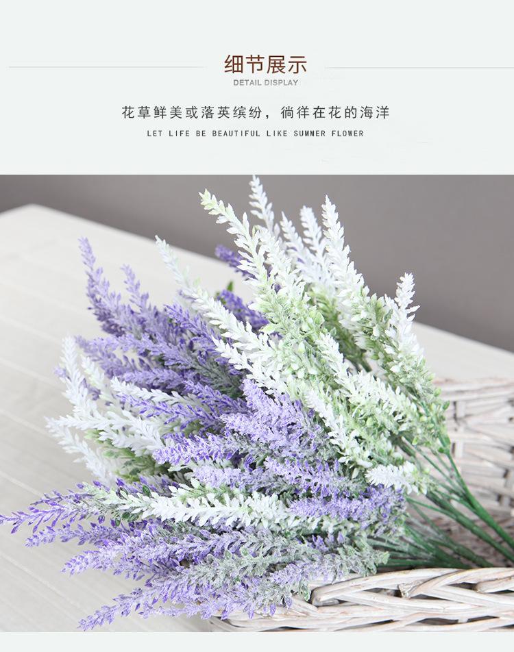 5叉熏衣草