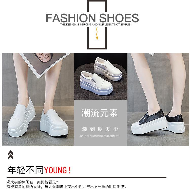 88610详情页_05.jpg
