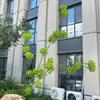 Outono 2026 Plantas Verdes Artificiais Casamento Decoração de Casa Plantas Verdes Falsas Atacado