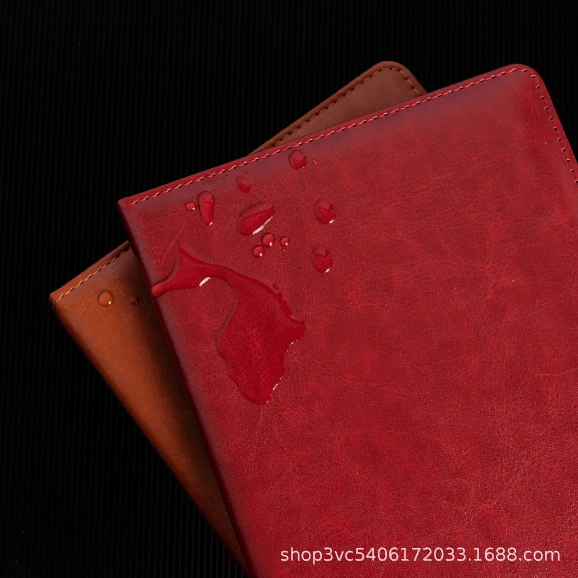 DSC04765.JPG