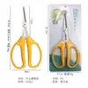 Tijeras para Uvas de Doble Color Curvas Personalizadas por el Fabricante, Tijeras para Frutas y Verduras, Tijeras para Recolectar Fruta, Tijeras de Jardín, Tijeras de Acero Inoxidable, Tijeras para Recolectar Fruta