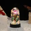 Cubierta de Cristal de Flor Eterna Transfronteriza con Flores de Pan de Oro y Luces LED de Colores, Decoración Creativa de Regalo Romántico para San Valentín y Navidad