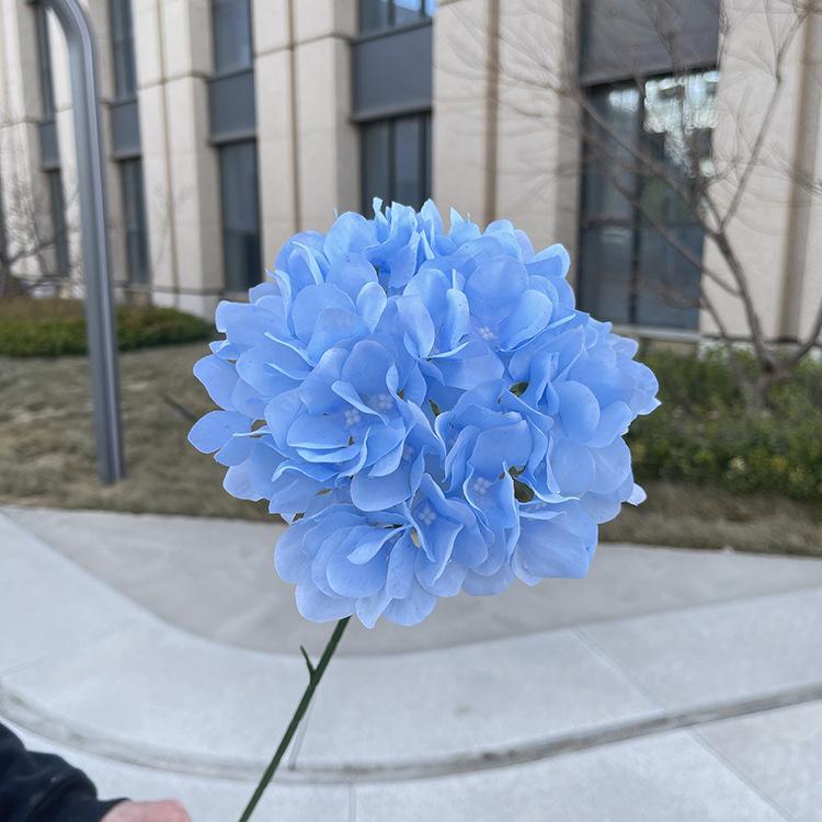 高枝中号如意绣球-sxlsx-天蓝.JPG