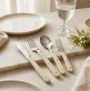 Juego de Cubiertos de Acero Inoxidable con Mangos de Plástico, Cubiertos Estilo Occidental 430, Cuchillo y Tenedor para Steak, Cuchara y Tenedor de Postre, Juego de Cinco Piezas
