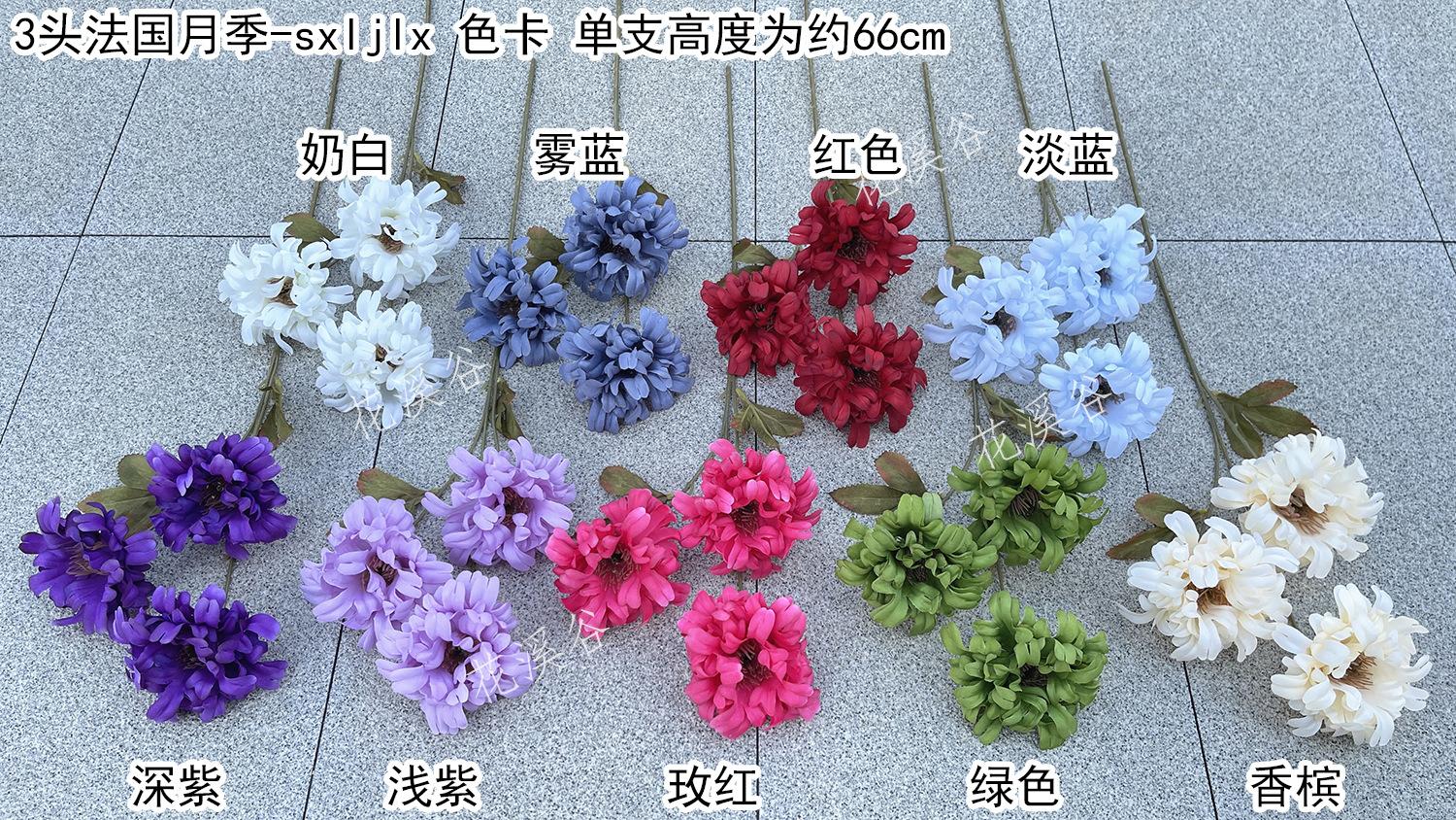 3头法国月季-sxljlx 色卡 花溪谷.jpg