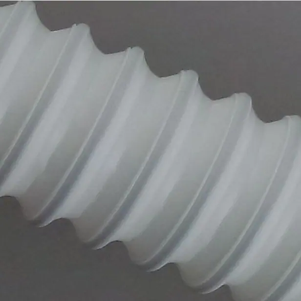 白不 2