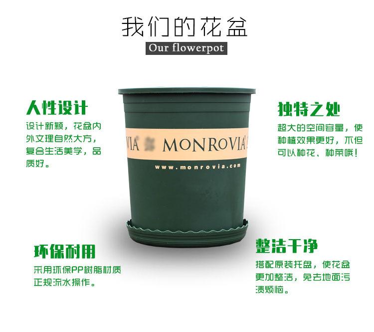 描述3.jpg