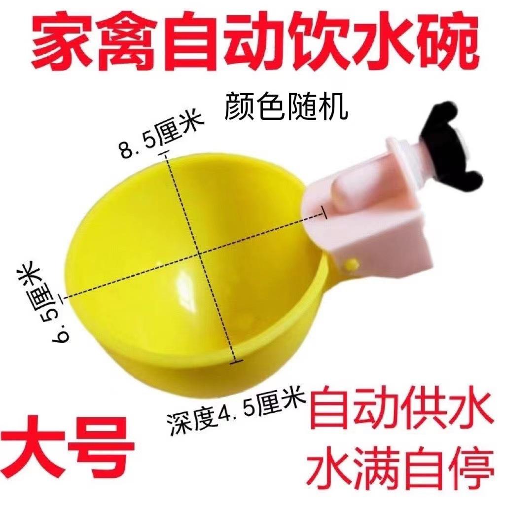 详情 (1).jpg