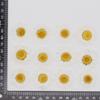 Crisântemo de Cristal Branco Flor Seca Gota de Cola em Relevo Capa de Celular/Decalque Facial para Nail Art Moldura de Foto DIY Infantil Marcador de Página Material para Luminária de Mesa