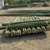 Postes Decorativos de Bambú, Postes de Bambú Verdes Gruesos y Delgados, Postes de Bambú para Danza, Postes de Bambú Verdes para Separadores, Materiales de Postes de Bambú para Interiores y Exteriores, Bambú Nanzhu