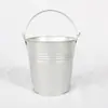 Vaso de Flor de Suculenta de Metal, Balde de Flor, Balde de Brinquedo, Balde de Praia, Balde de Água Pintado, Balde Pequeno de Metal Versátil em Cores de Doce com Frete Grátis