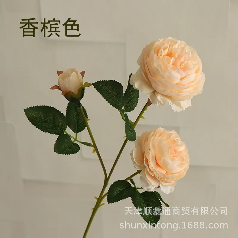 三叉洋牡丹香槟色1.jpg