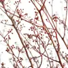 Nuevo Producto de Rhapsody: Flores de Nochevieja [Rama Luz Eterna Roja] Estilo Wabi-Sabi Nuevo Arreglo Floral para el Hogar Estilo Chino para el Año Nuevo