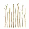 Ramas Secas Naturales para Paisajismo, Perchero de Madera Maciza, Troncos de Árboles Muertos, Divisorio Decorativo de Barra de Madera para Sala de Estar y Hotel