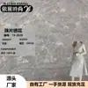 Bordado de Lantejoulas Novo Estilo Tecido Bordado com Lantejoulas Novo Estilo Chinês Fresco e Elegante Material para Qipao e Hanfu