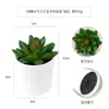 Más de 100 Tipos de Combinaciones de Plantas Suculentas Mini de Plástico Simuladas en Maceta, Mini Bonsáis Suculentos Más Vendidos Transfronterizos, Decoración para el Hogar, Adornos Creativos
