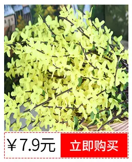 春妆电子商务有限公司内页0306_01_03