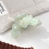 Accesorios Berphia Horquilla de Flor de Ácido Acético Clip para el Cabello de Alta Gama Versátil Semirrecogido Clip Tiburón para el Cabello Accesorios para el Cabello Clip de Agarre