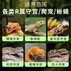 Alimento en Polvo de Calcio para Lagartos, Puré de Frutas, Comercio Exterior Transfronterizo OEM, Polvo de Frutas para Gecko Mascota, Personalización OEM Transfronteriza