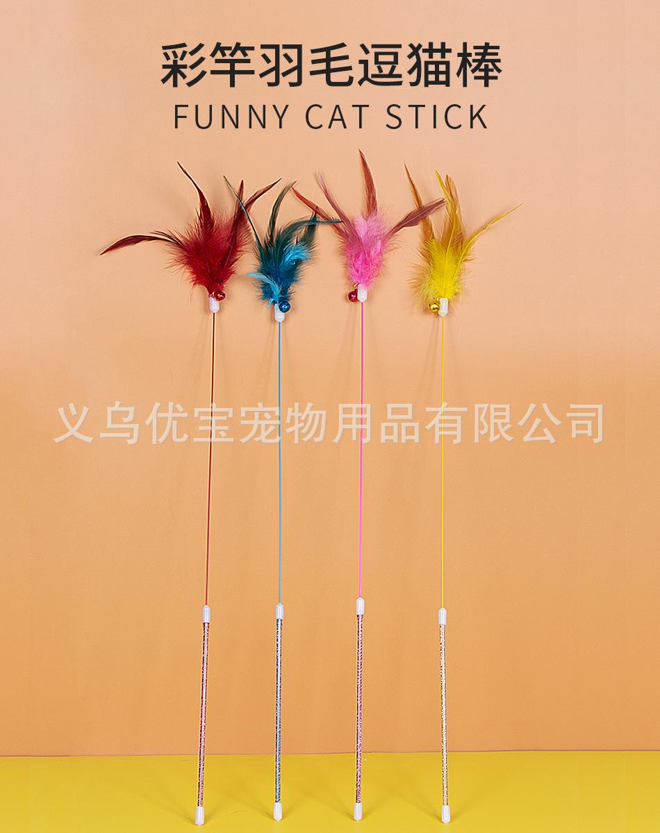 彩竿单羽详情_01