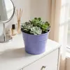 Macetas de Lata Coloridas Transfronterizas, Plantas Verdes, Cubos Pequeños de Flores Suculentas, Cubos de Almacenamiento de Escritorio, Cubos Pequeños de Hierro Metálico de Color Caramelo Sin Perforaciones
