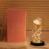 Rosa Colorida com Folha de Ouro Flor Eterna Luminária Noturna Presente de Dia dos Namorados Presente de Aniversário para Meninas e Melhores Amigas
