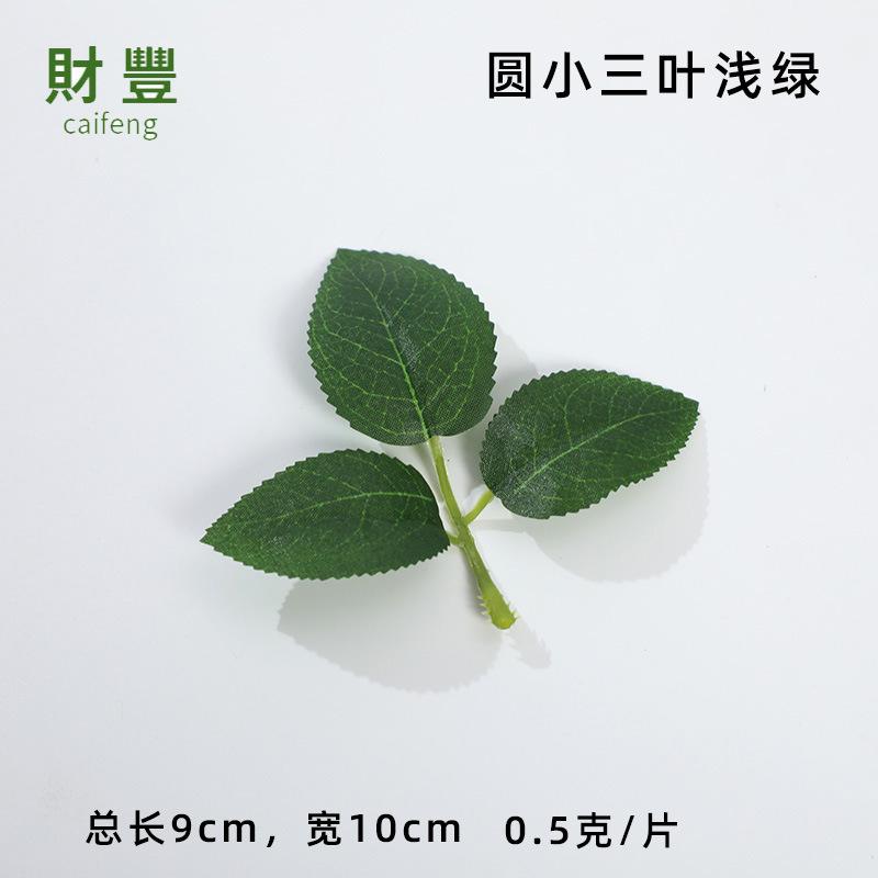 圆小三叶浅绿.jpg