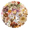 50 Pegatinas Transparentes de Plantas Secas, Materiales Florales Vintage de Bosque Otoñal para Diario, Pegatinas Decorativas Impermeables de Mascota