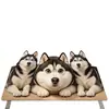 Tapete de Chão Fofo de Filhote de Cachorro com Terra de Diatomáceas, Tapete de Pé Absorvente para Banheiro, Tapete Antiderrapante para Box de Banho, Tapete de Pé de Secagem Rápida, Tapete de Entrada