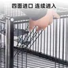 Jaula para Palomas Transfronteriza Estilo Nuevo Puertas que se Abren de Golpe Solo Pueden Entrar Jaula que Cae del Cielo Exterior Hogareña Techo Jaula para Palomas Codificada por Cuatro Lados