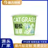 Fornecedor Fabricante Copo Hidropônico para Plantio de Grama de Gato, Copo Automático de Absorção de Água para Grama de Gato Preguiçoso com Tampa, Copo de Macarrão Instantâneo, Petiscos para Gatos