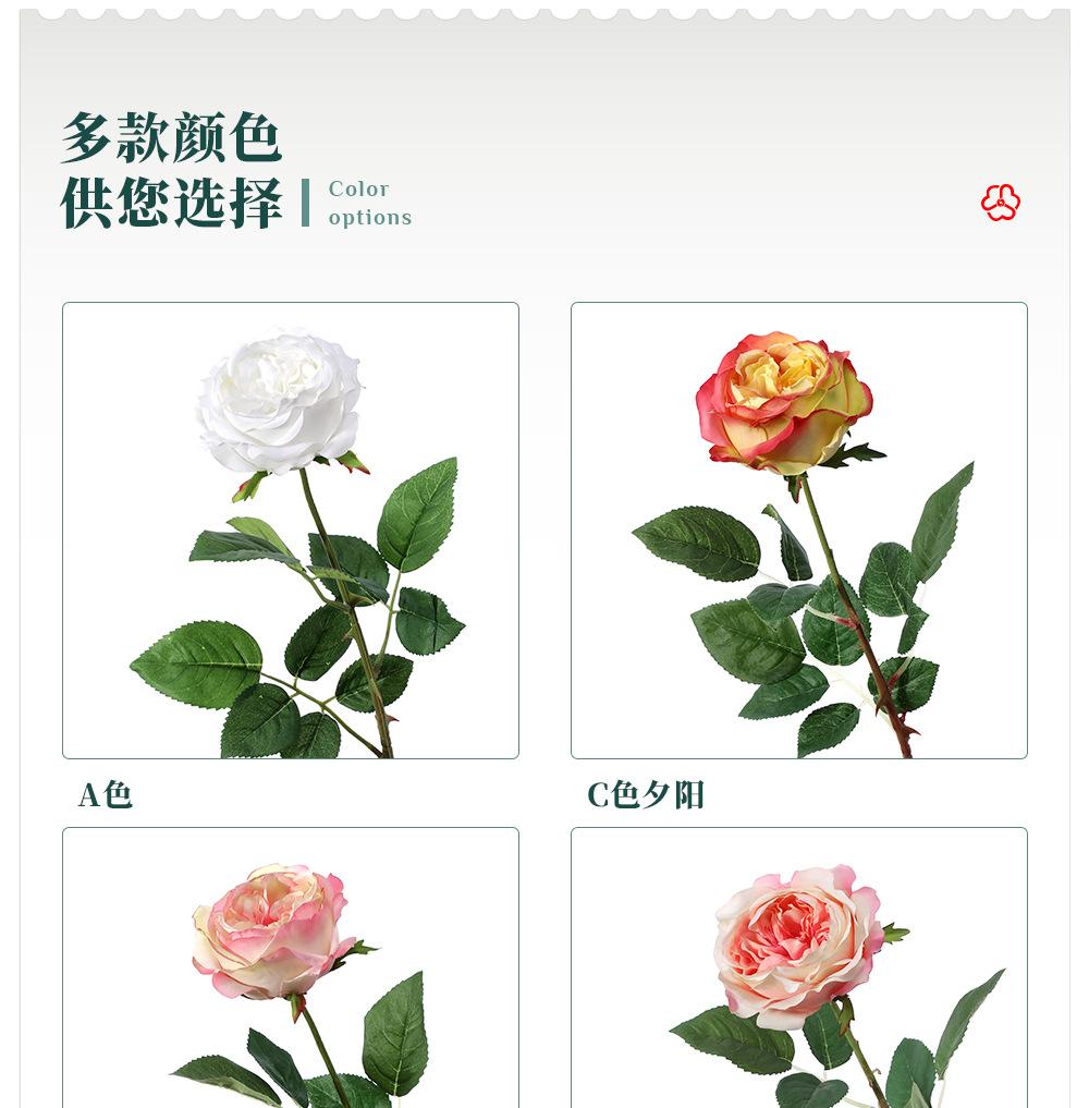 奥斯汀玫瑰单枝_03.jpg