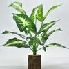 Maceta de 12 cabezas de hoja grande simulación Lirio de Cala Taro grande simulación accesorios de pared de plantas planta verde Taro grande