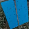 Placa pegajosa para insetos atacado jardim de chá pomar horta estufa especial Caixa Inteira 1000 direto da fábrica dupla face forte placa amarela