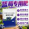 Fertilizante Específico para Mirtilo Fertilizante Composto de Sulfato de Potássio Muda de Fruta de Árvore de Mirtilo Em Vasos Fertilizante Orgânico Solo Específico Ácido Fertilizante de Liberação Lenta