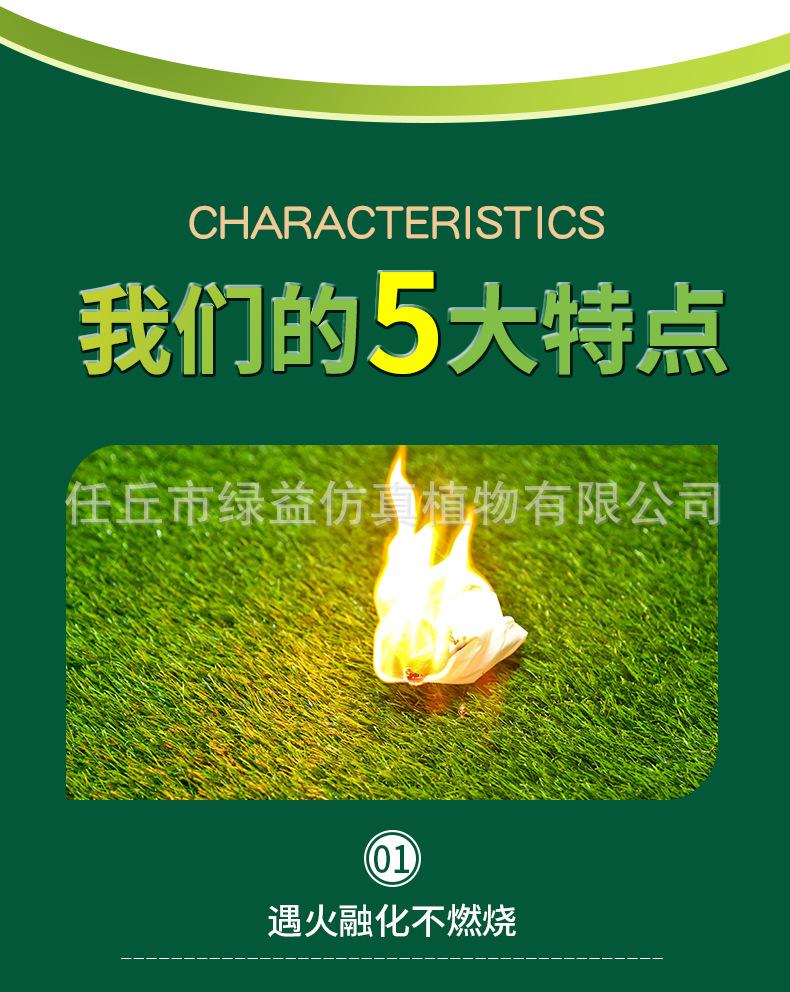 详情页_09.jpg