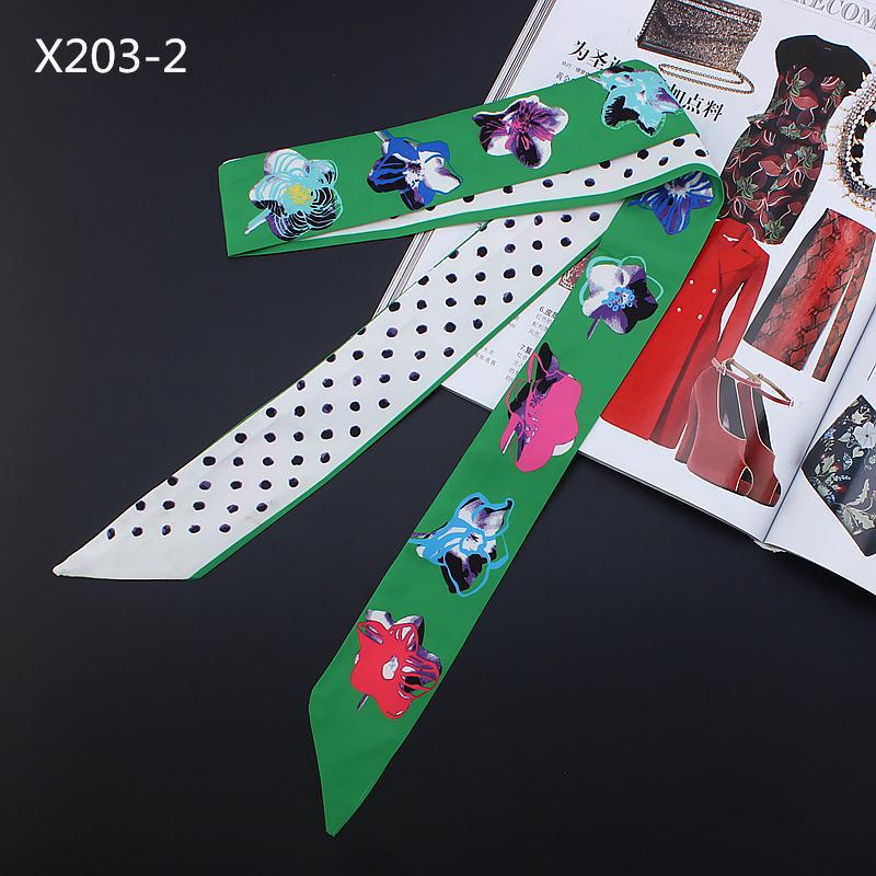 X203-2