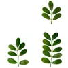 Hojas de Langosta Artificiales, Hojas Falsas, Hojas Verdes de Plástico, Ramas Secas, Decoración DIY, Hojas Artificiales, Hojas de Cacahuete, Eucalipto