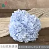 Simulação Hortênsia Comércio Exterior 5 Cabeças Arranjo Hortênsia Hortênsia Francesa Estilo Quente Base para Casamento Hortênsia Flor Artificial Atacado
