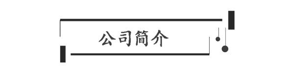 4公司简介.png