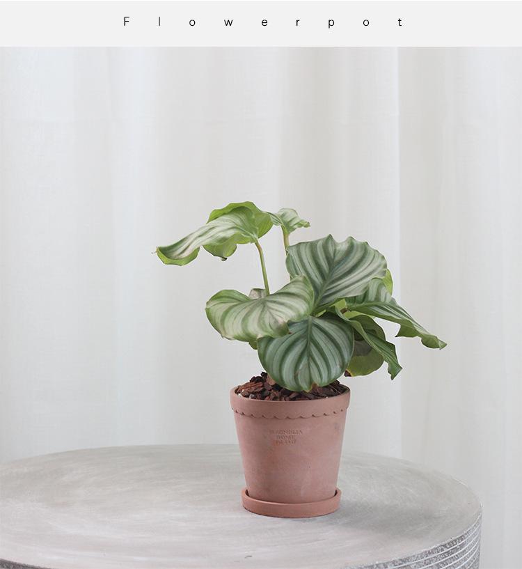 编制小盆阿里_13