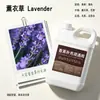 Hotel Todas las Estaciones Zen Té Aromaterapia Líquido de Recarga Botella Grande para Dormitorio Uso en Casa Fragancia de Habitación de Larga Duración Difusor sin Llama