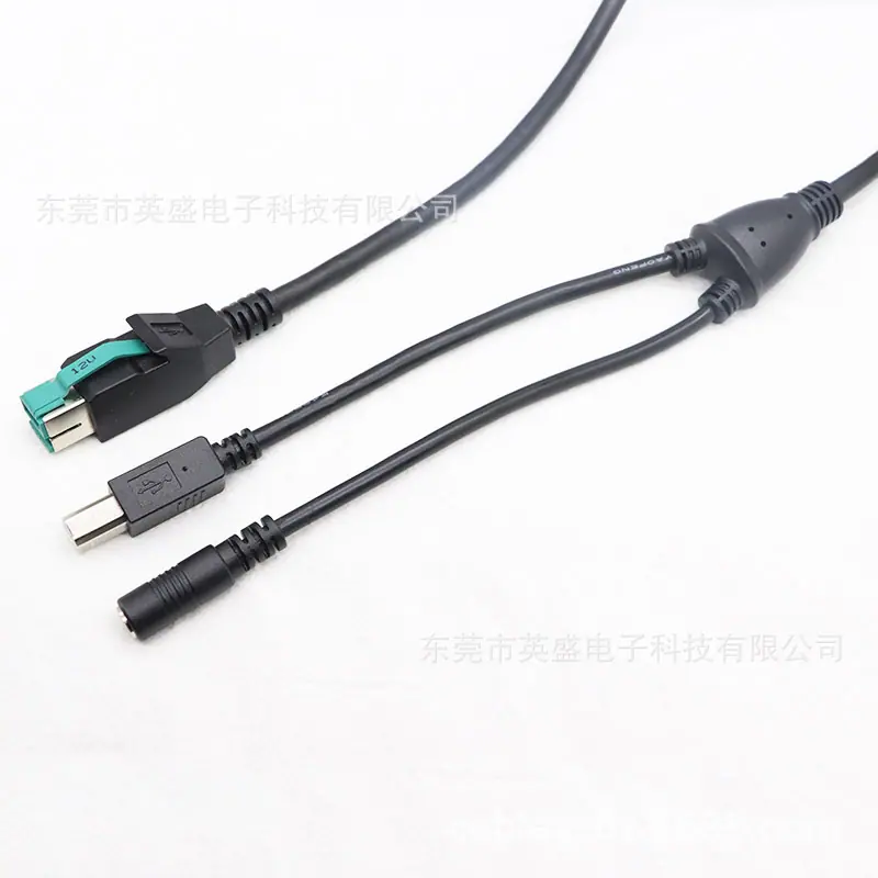 12V 8P公转接DC5.5*2.1母+USBBM