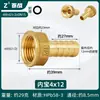 Conector de Latão com Rosca Interna e Espigão de 4/6 Polegadas para Mangueira de Gás Natural, Adaptador Roscado Reto Espessado, Conexão de Cobre