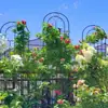 Cerca de pátio de jardim de ferro forjado para exterior, treliça para trepadeiras, suporte para flores, suportes para plantas como clematis, rosa, jiboia