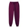 Pantalones deportivos blancos de fitness para hombre de Wish AliExpress, pantalones casuales de color liso cepillado para hombre, pantalones deportivos europeos y americanos.