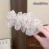 Acessórios de cabelo elegantes e sofisticados: grampos de cabelo para dar volume, presilhas de garra, presilhas verticais, presilhas de laço, presilhas banana, presilhas torcidas doces e estilosas