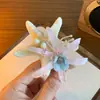 O sabor do mar ~ flores estrela do mar prendedor de cabelo feminino alta sensibilidade atmosfera grampo de cabelo parte de trás da cabeça grampo tubarão novo de mola