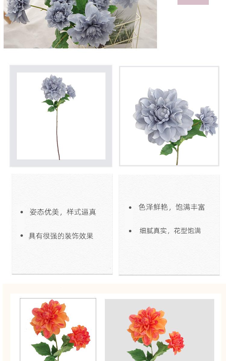 详情_15.jpg
