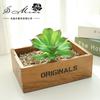 020 Suministros Creativos de Bricolaje para Cabezas de Flores Suculentas, Accesorios para Arreglos Florales, Venta Directa del Fabricante, Flores Artificiales de Plástico y Plantas Verdes